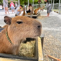 rmjqoc.png?1753772403