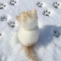 oiwxsa.png?1790883146