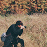 qivale.png?1763833415