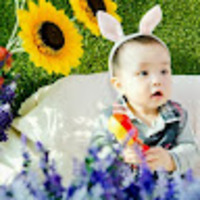 gzhvsv.png?1735021062