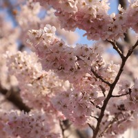 jhyydw.png?1733102377