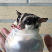 trpelb.png?1765381276