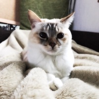 qyctcb.png?1735021763