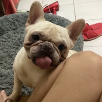 qhsope.png?1723991389