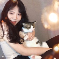 wcpgdw.png?1704723393