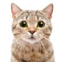 omxelx.png?1741189969