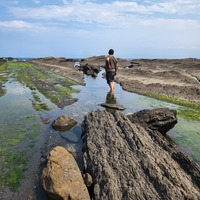 hsvunc.png?1744194111