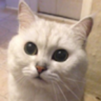 gyrsrs.png?1735607189