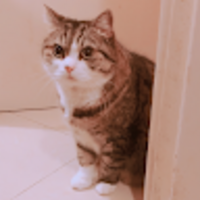 dgrnoz.png?1767142476