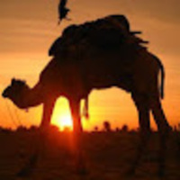 ugpnyl.png?1767144062