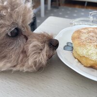 yxpxav.png?1767144312