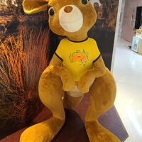 eewcas.png?1767145460