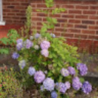 wkkvxe.png?1767148528