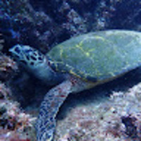 qjtofi.png?1767154672