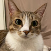 bmjeyq.png?1767157243