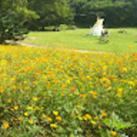 olyzou.png?1767157453