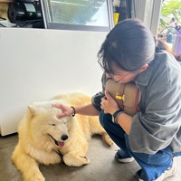 unzhml.png?1750052912