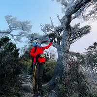 iomcna.png?1722145300