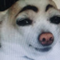 iwtopx.png?1744505742