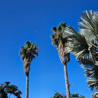 jkhokt.png?1763988071