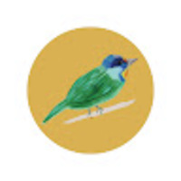 zirdwp.png?1742915606