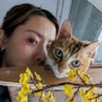 xkdpaz.png?1731114306