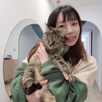 jrpaiv.png?1733839981