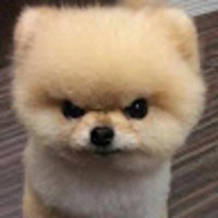 ndckyk.png?1734746685