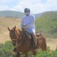 nwvsea.png?1755776205