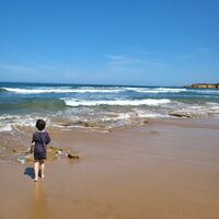 idpsjm.png?1735276331