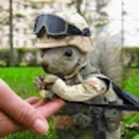obuctc.png?1735945745