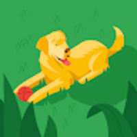 nzocyz.png?1736479430