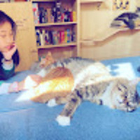 ulusuh.png?1736779384