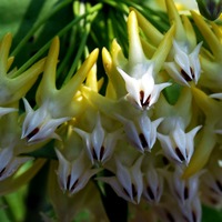 zsnsql.png?1738249435