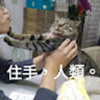 lrjtth.png?1737553920