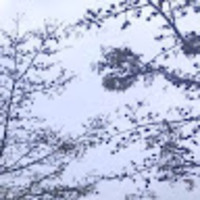 hoftkq.png?1738548661