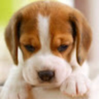 oaosyw.png?1739103420