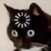 ymwnjq.png?1740062967