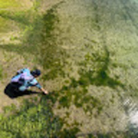 oijlpz.png?1740359731