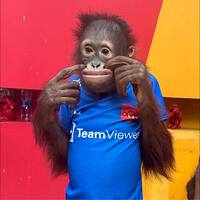 nvmgga.png?1741480036