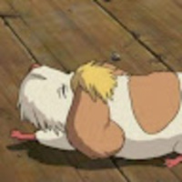 pldbyq.png?1741762680