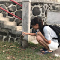 xxephd.png?1744085440