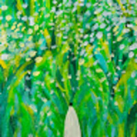 xcncxo.png?1767254068