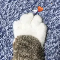 ywbhom.png?1776690215