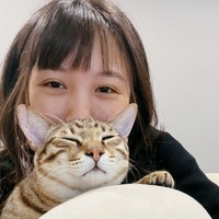 syiilw.png?1746280755