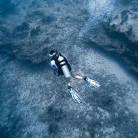 yxcavs.png?1756828419