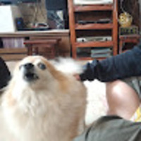 hcauwb.png?1747262507