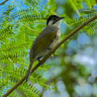 ucyszu.png?1747399707