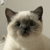 qwaizb.png?1752807522
