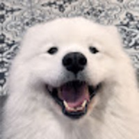wwhtlu.png?1747917239